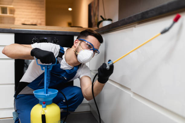 Best Best Pest Control Companies  in Hemby Bridge, NC