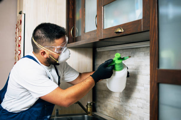 Best Cockroach Control Services  in Hemby Bridge, NC