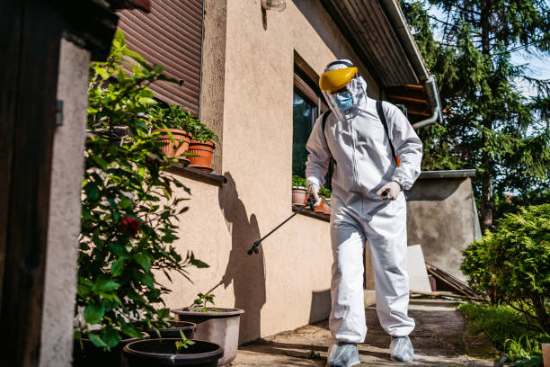 Best Residential Pest Control  in Hemby Bridge, NC