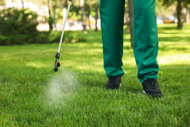 Best Pest Control Near Me  in Hemby Bridge, NC