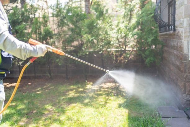 Best Pest Prevention Services  in Hemby Bridge, NC