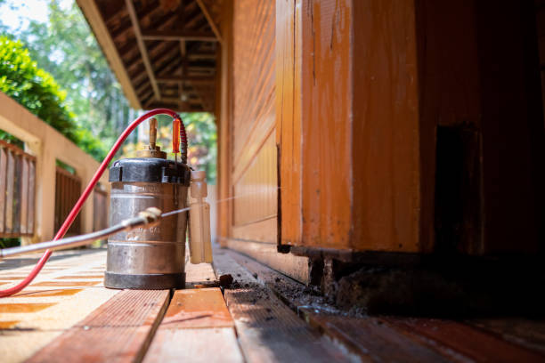 Best Exterminator Services  in Hemby Bridge, NC