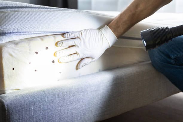 Best Wildlife Control Services  in Hemby Bridge, NC