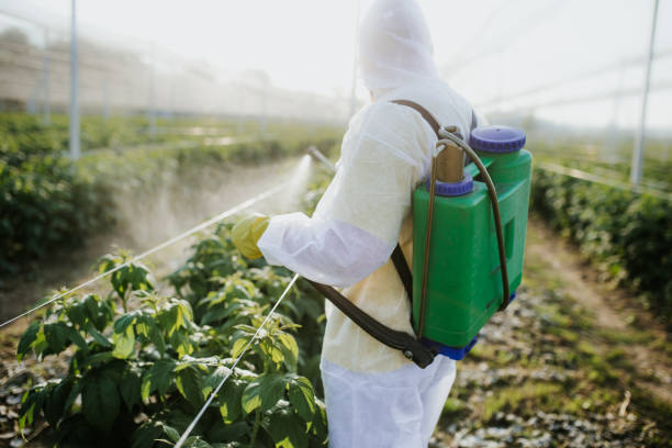 Best Mosquito Control Services  in Hemby Bridge, NC